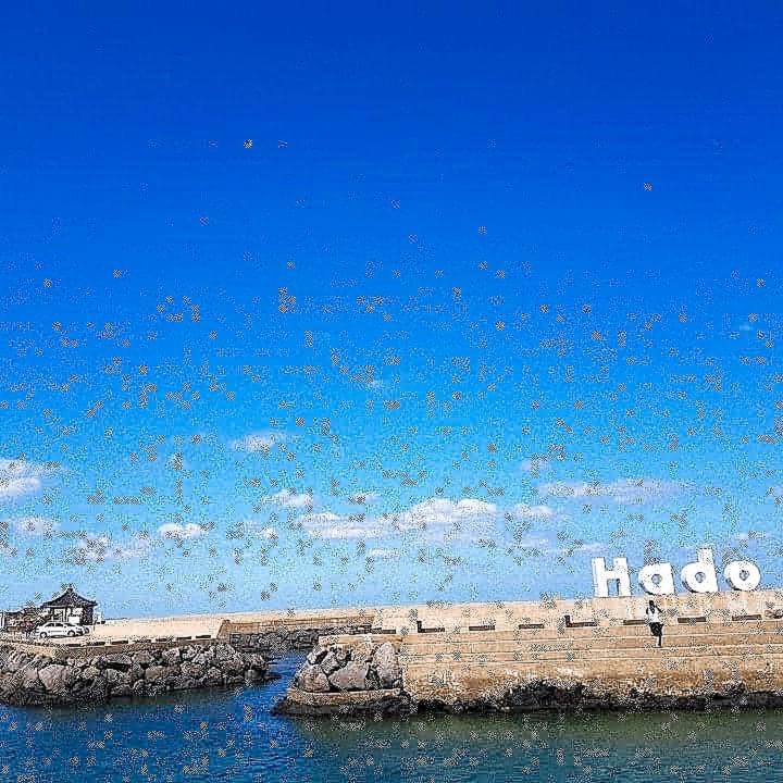 Hadori Mindfulness Villa Jeju Ngoại thất bức ảnh