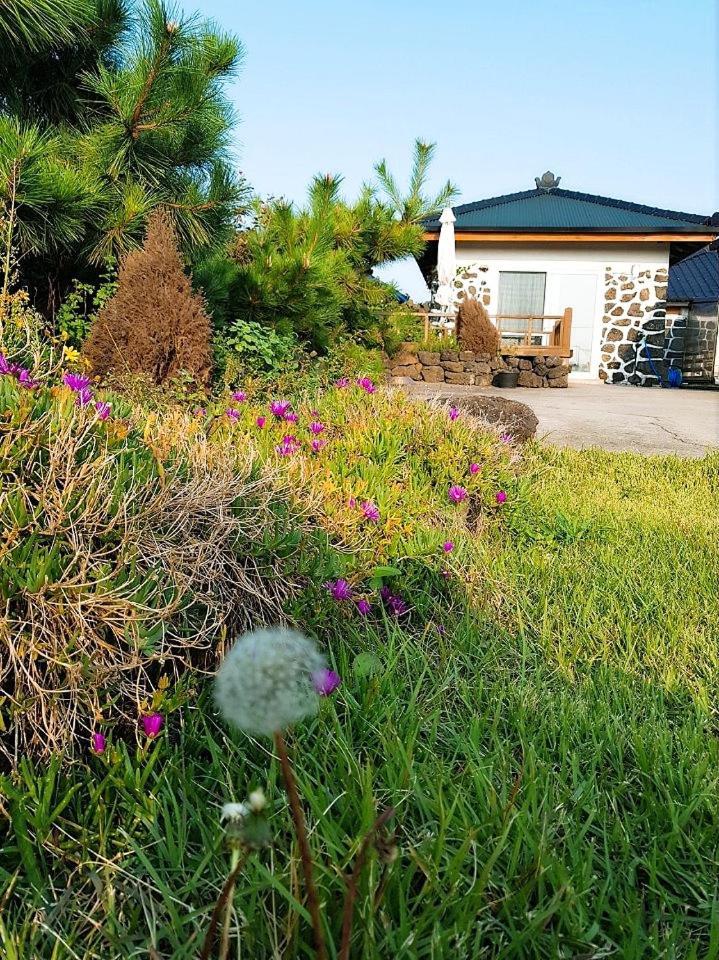 Hadori Mindfulness Villa Jeju Ngoại thất bức ảnh
